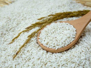 Ủy ban nhân dân huyện Lục Yên được cho phép đăng ký, quản lý và sử dụng tên địa danh “Khánh Thiện” để tiến hành các thủ tục đăng ký bảo hộ Nhãn hiệu chứng nhận cho sản phẩm “Gạo nếp Lào mu” của huyện Lục Yên, tỉnh Yên Bái