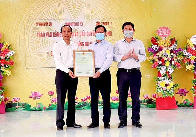 Lục Yên công bố văn bằng bảo hộ nhãn hiệu chứng nhận “Gạo nếp Lào mu Khánh Thiện”