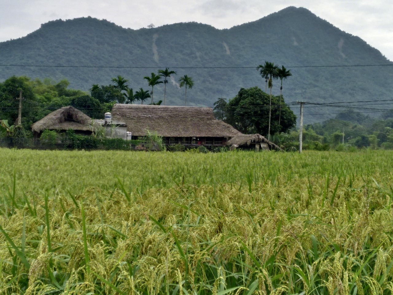 Trấn Yên, Lục Yên đánh giá 8 sản phẩm tham gia chương trình OCOP